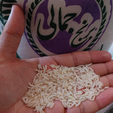 برنج طارم هاشمی فوق ممتاز تازه برداشت فریدونکنار برنج جمالی 10کیلو