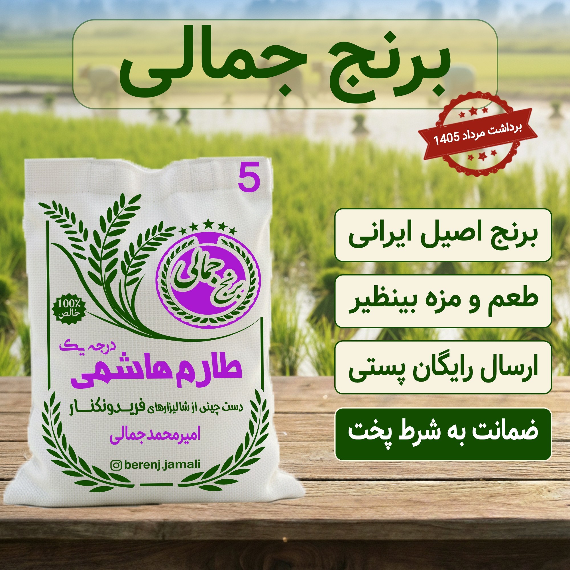 برنج طارم هاشمی فوق ممتاز تازه برداشت فریدونکنار برنج جمالی 5کیلو