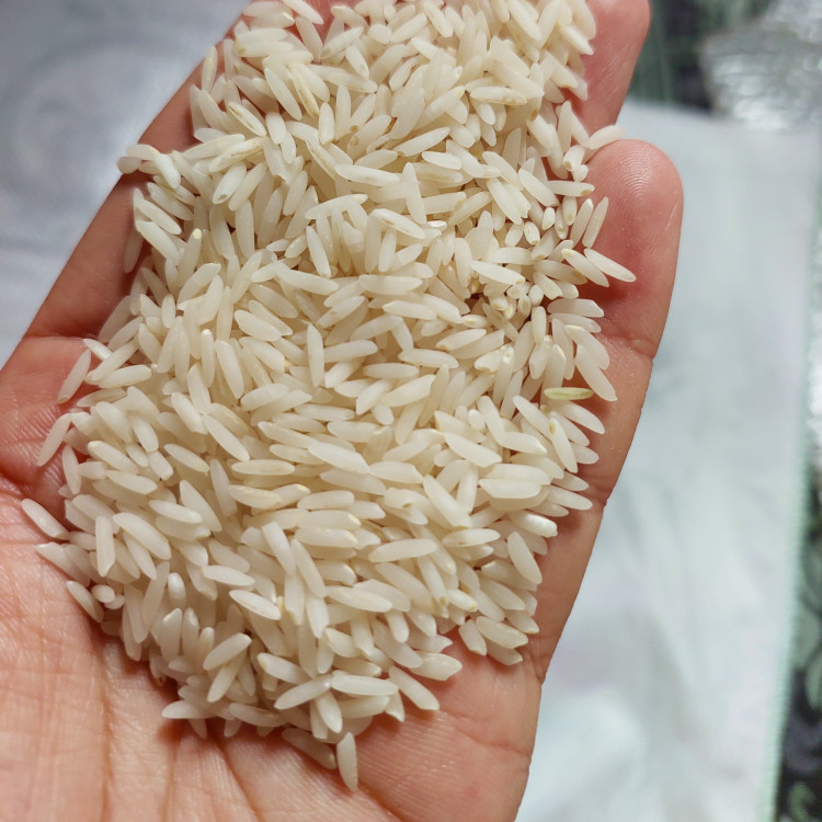 برنج طارم هاشمی فوق ممتاز تازه برداشت فریدونکنار برنج جمالی 5کیلو