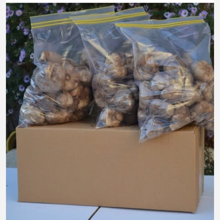 سیر سیاه اصل تازه (یک کیلویی) پاستیلی درجه یک و شیرین تهیه شده ازسیرهمدان