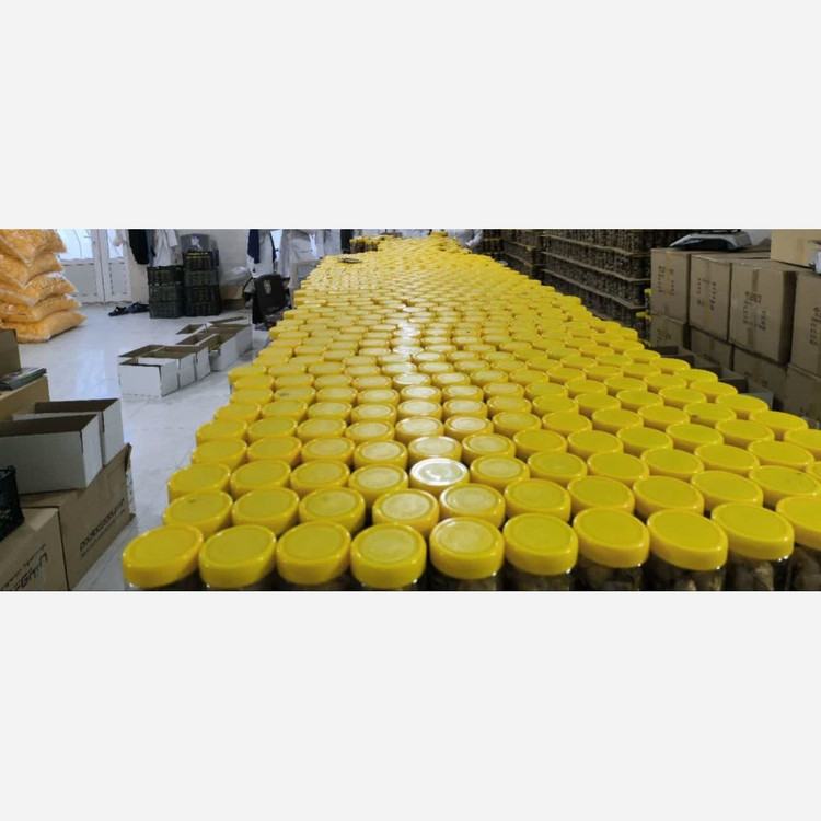 سیر سیاه اصل تازه (یک کیلویی) پاستیلی درجه یک و شیرین تهیه شده ازسیرهمدان