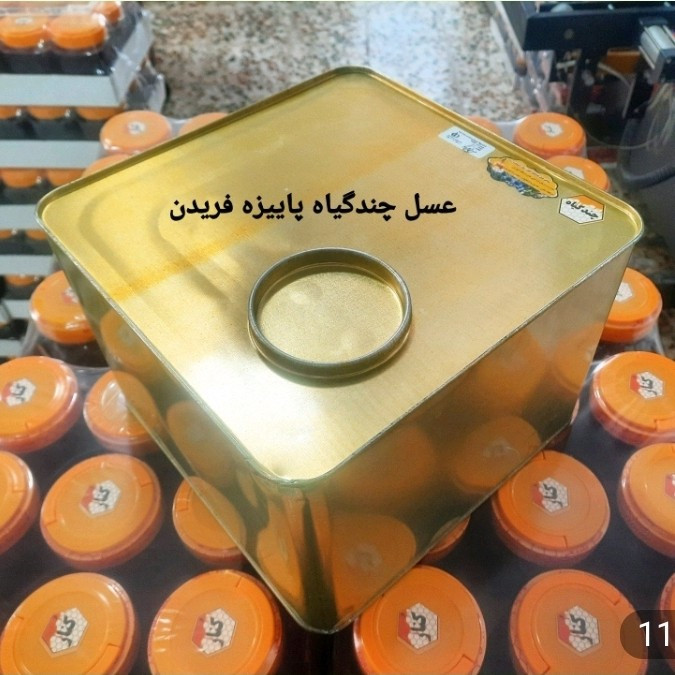 عسل چندگیاه پاییزه 1کیلویی ممتاز فریدن (ارسال رایگان به شهرستان فریدن)