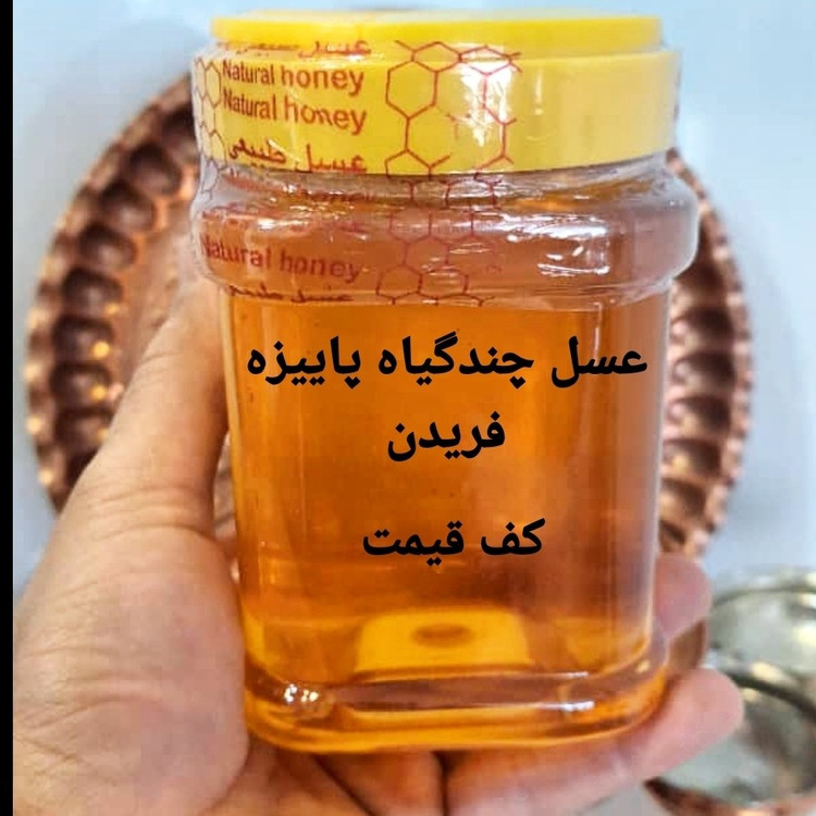 عسل چندگیاه پاییزه 1کیلویی ممتاز فریدن (ارسال رایگان به شهرستان فریدن)