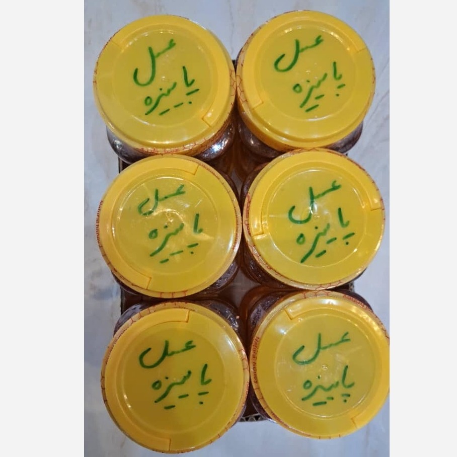 عسل چندگیاه پاییزه 1کیلویی ممتاز فریدن (ارسال رایگان به شهرستان فریدن)