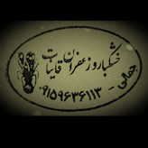 زعفران دسته(دخترپیچ) یک مثقال برداشت پاییز 1404 درجه یک محصول قاینات تضمین کیفیت (هرمثقال 4 ممیز شش دهم گرم خالص است)