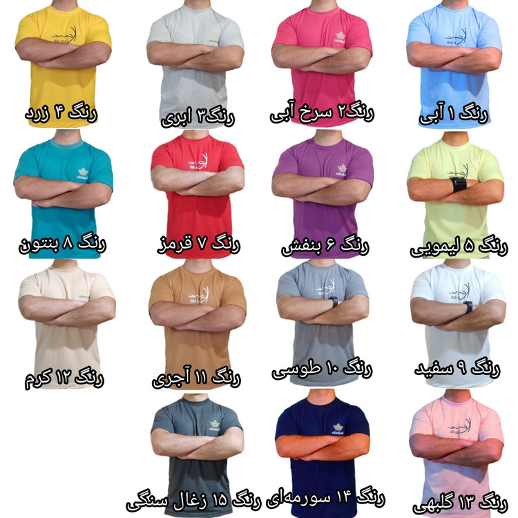 تیشرت مردانه خاص در 8 سایز و 15 رنگ متفاوت و جذاب