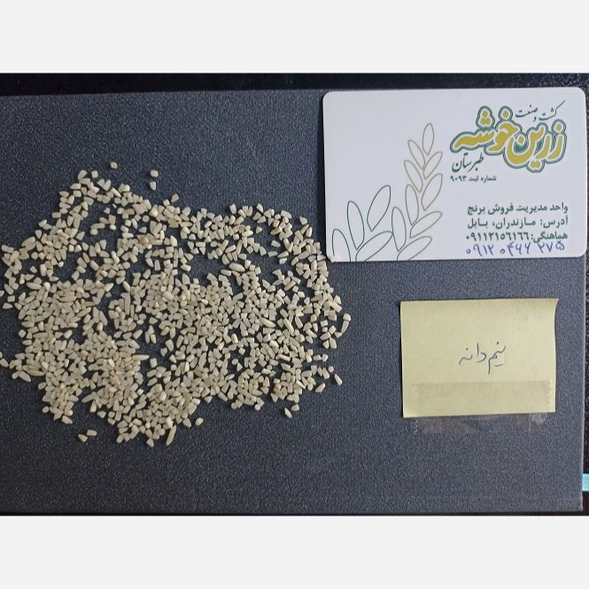 برنج نیم دانه طارم زرین خوشه طبرستان (ناریوران) ارسال رایگان