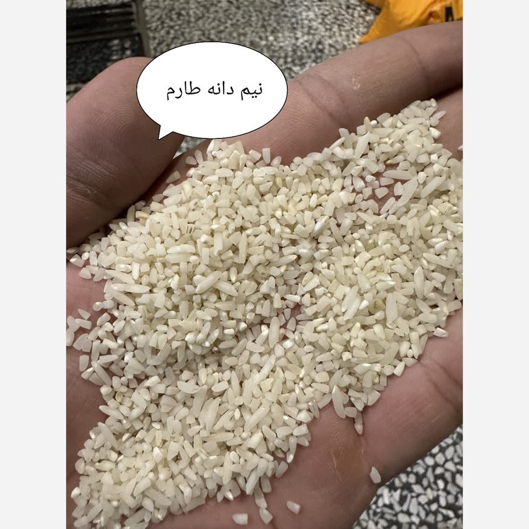 برنج نیم دانه طارم زرین خوشه طبرستان (ناریوران) ارسال رایگان