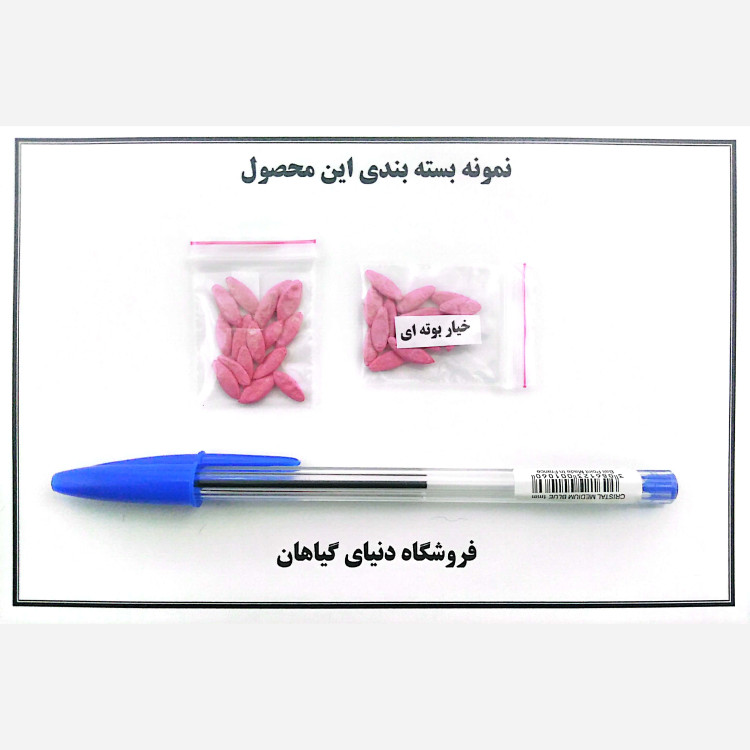 بذر خیار بوته ای پربار/زودرس(10 عدد)