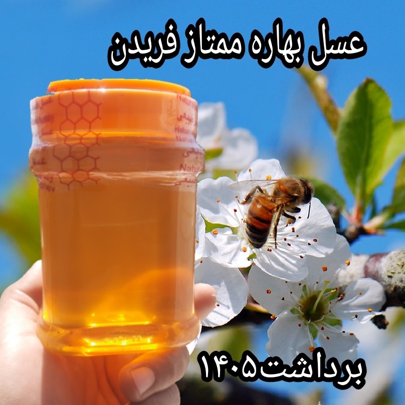 عسل بهاره1کیلویی ممتاز فریدن(ارسال رایگان به شهرستان فریدن)