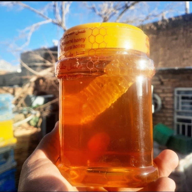 عسل بهاره1کیلویی ممتاز فریدن(ارسال رایگان به شهرستان فریدن)