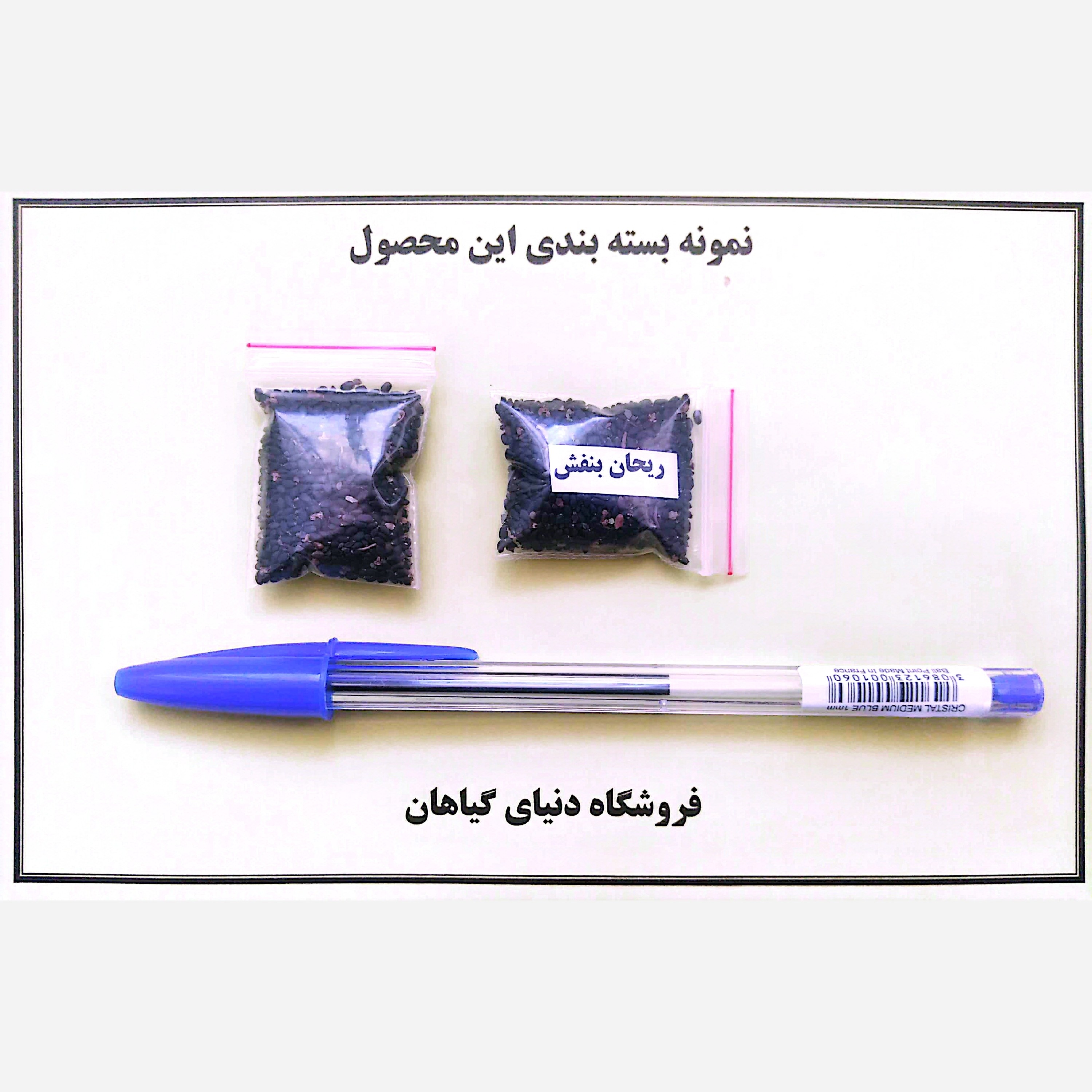بذر ریحان بنفش (1000 عدد)