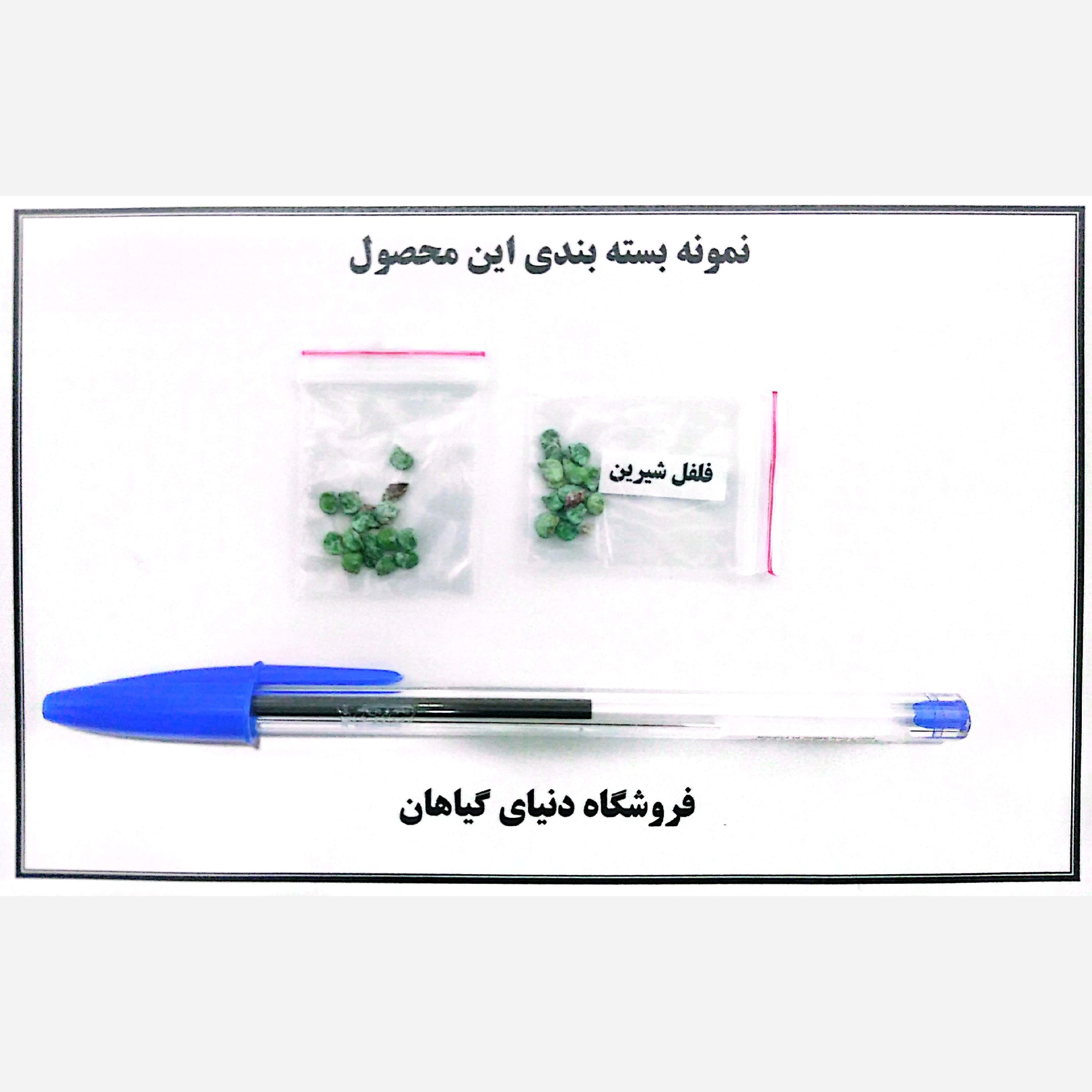 بذر فلفل سبز شیرین(10 عدد)