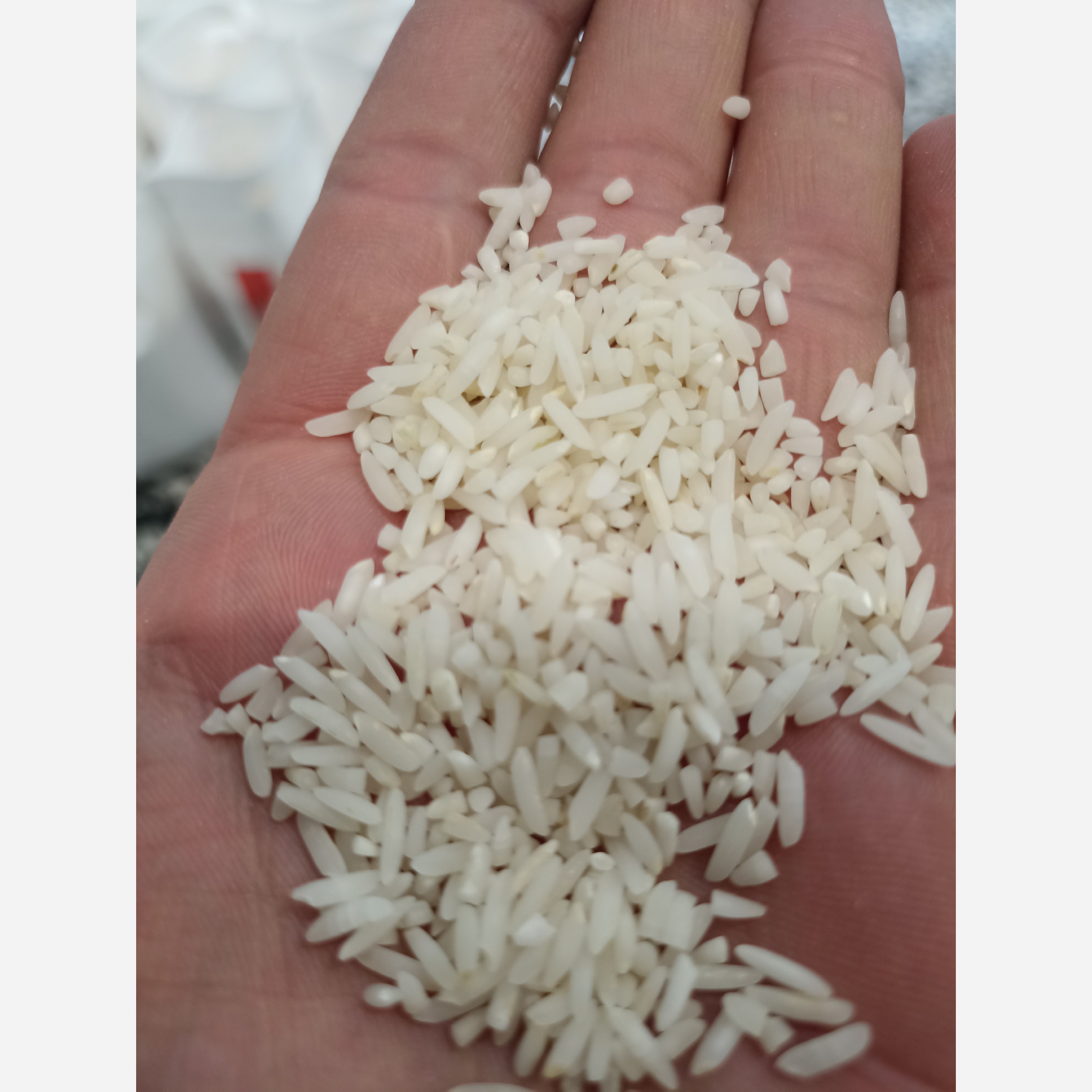 برنج سرلاشه طارم هاشمی زرین خوشه طبرستان (ناریوران) ارسال رایگان