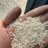 برنج سرلاشه طارم هاشمی زرین خوشه طبرستان (ناریوران) ارسال رایگان