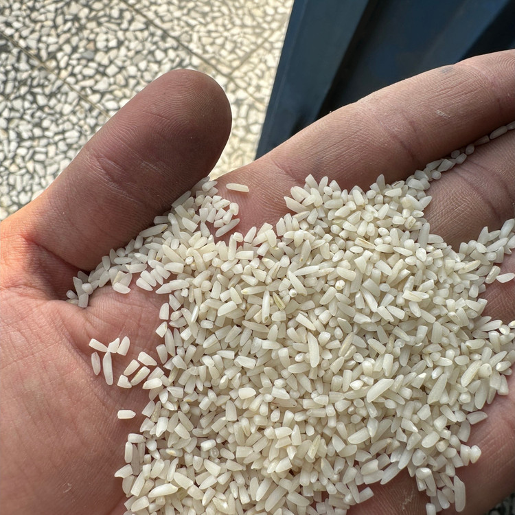 برنج سرلاشه طارم هاشمی زرین خوشه طبرستان (ناریوران) ارسال رایگان