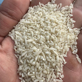 برنج سرلاشه طارم هاشمی زرین خوشه طبرستان (ناریوران) ارسال رایگان