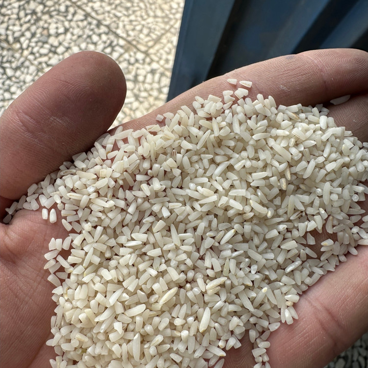 برنج سرلاشه طارم هاشمی زرین خوشه طبرستان (ناریوران) ارسال رایگان