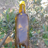 روغن زیتون خالص3لیتری(فرابکر بابوپرس سرد)با تضمین قیمت و ضمانت کیفیت از باغدار خرید کنید،روغن زیتون تازه روغن زیتون