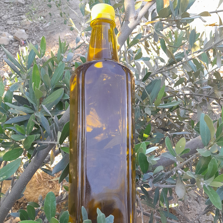 روغن زیتون خالص3لیتری(فرابکر بابوپرس سرد)با تضمین قیمت و ضمانت کیفیت از باغدار خرید کنید،روغن زیتون تازه روغن زیتون