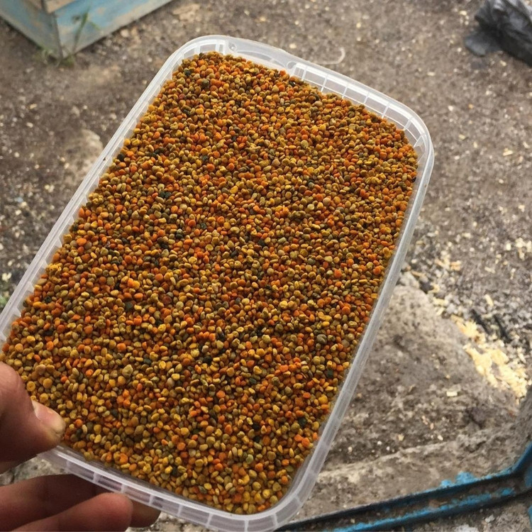 گرده گل کوهستانی (250 گرمی) مولتی ویتامین طبیعی خاویار گیاهی