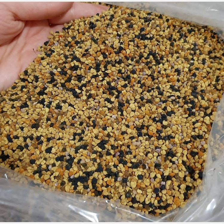 گرده گل کوهستانی (250 گرمی) مولتی ویتامین طبیعی خاویار گیاهی