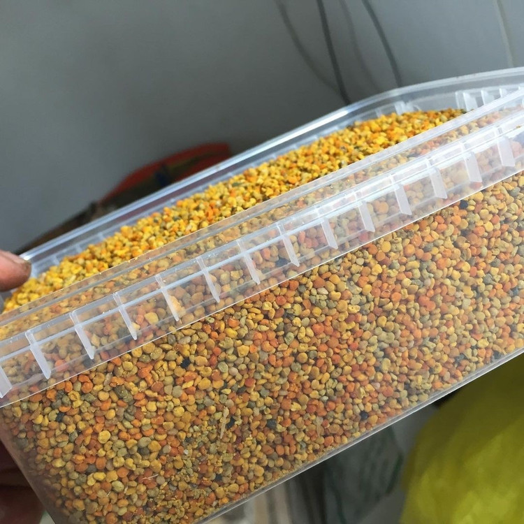 گرده گل کوهستانی (250 گرمی) مولتی ویتامین طبیعی خاویار گیاهی