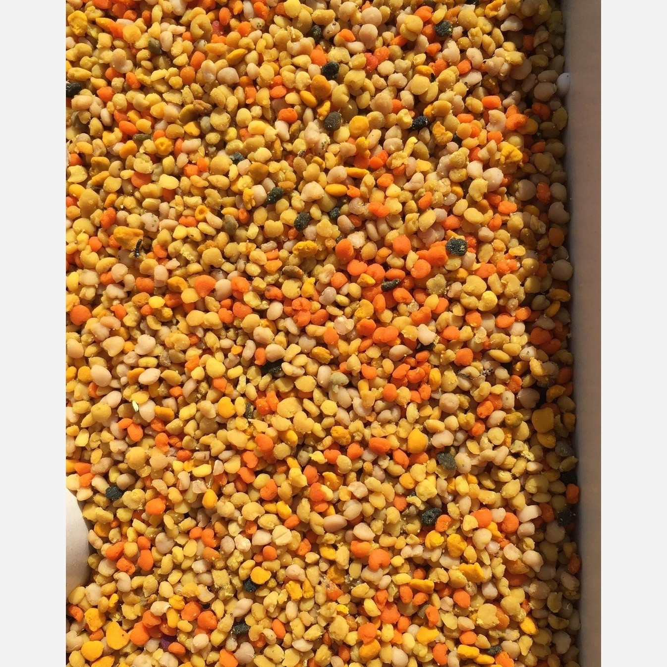 گرده گل کوهستانی (250 گرمی) مولتی ویتامین طبیعی خاویار گیاهی