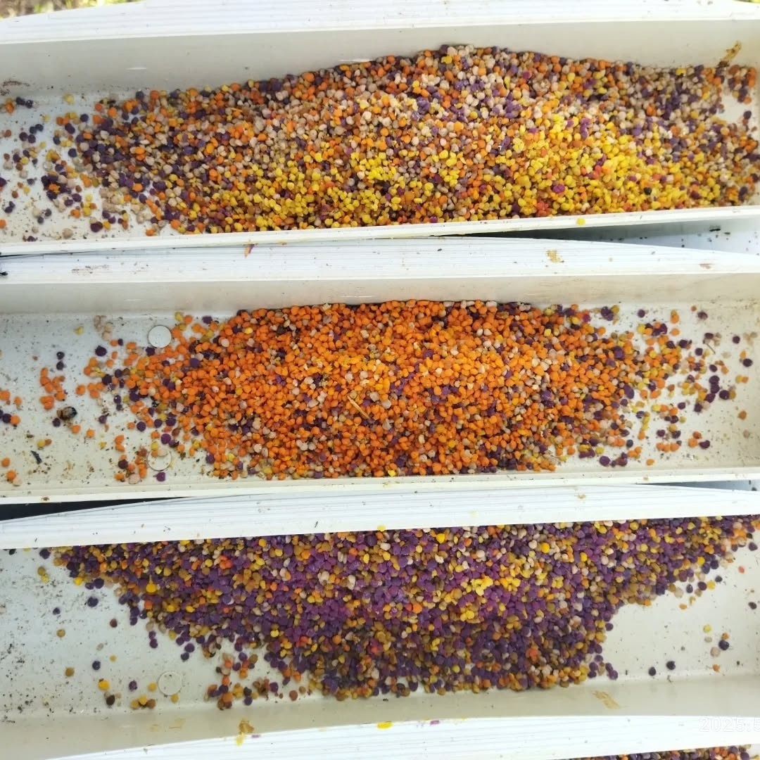 گرده گل کوهستانی (250 گرمی) مولتی ویتامین طبیعی خاویار گیاهی