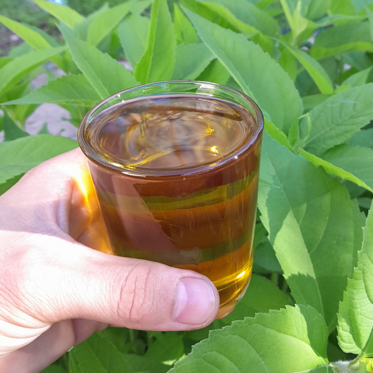 روغن زیتون خالص 2لیتری (فرابکر تصفیه شده بدون بو )با تضمین قیمت و ضمانت کیفیت از باغدار خرید کنید روغن زیتون درجه یک