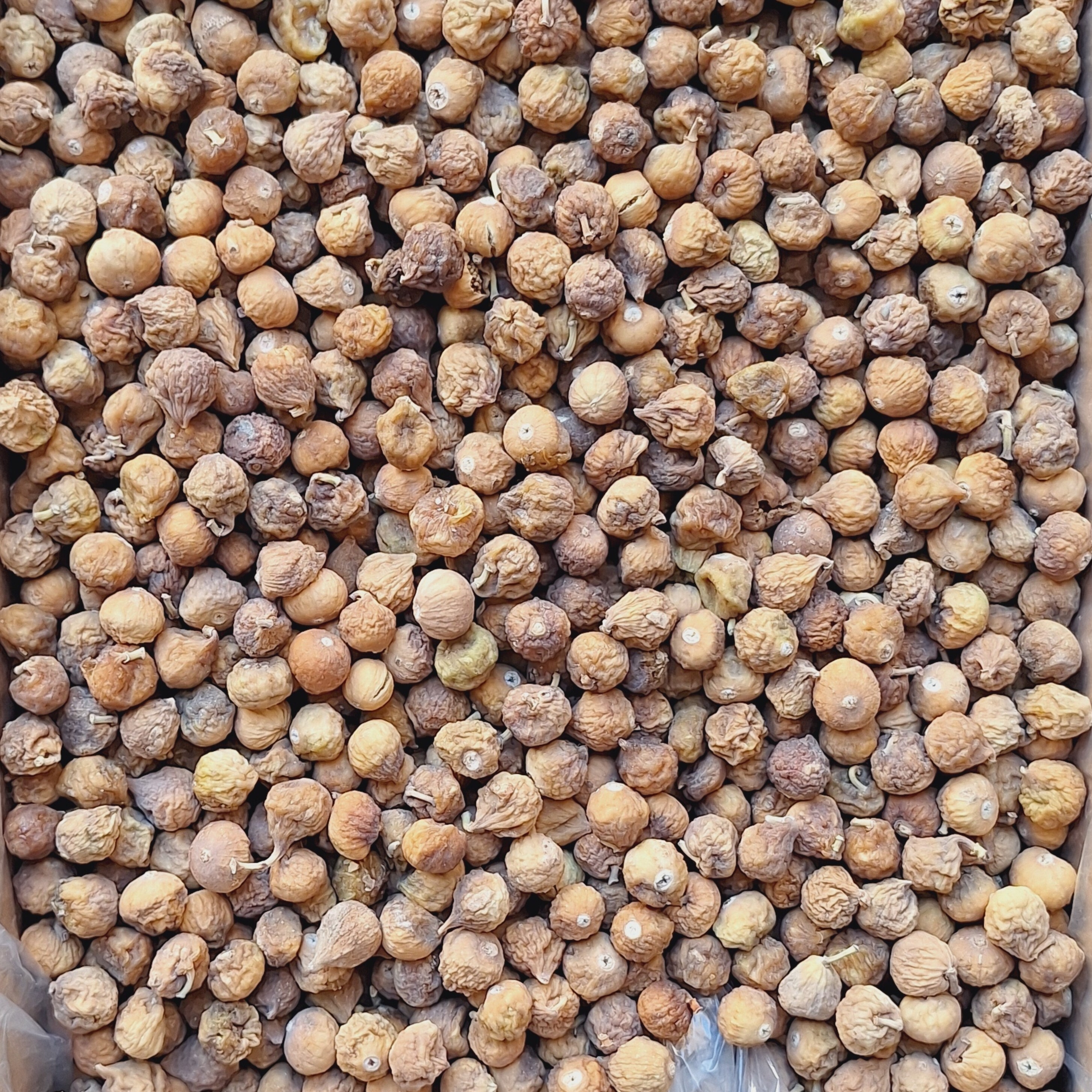 انجیر خشک استهبان (یک کیلویی)