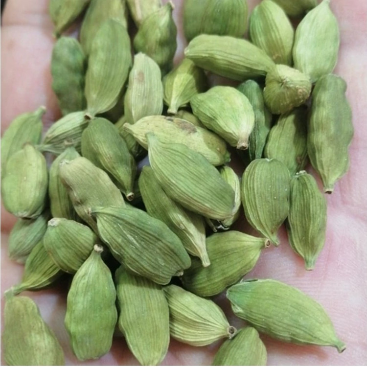 هل اکبر بنفش فوق اعلا و معطر 10 گرمی مشرق زمین