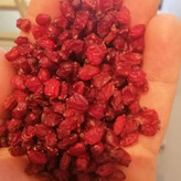 زرشک اناری یک کیلویی خوشرنگ اعلا امسالی مشرق زمین