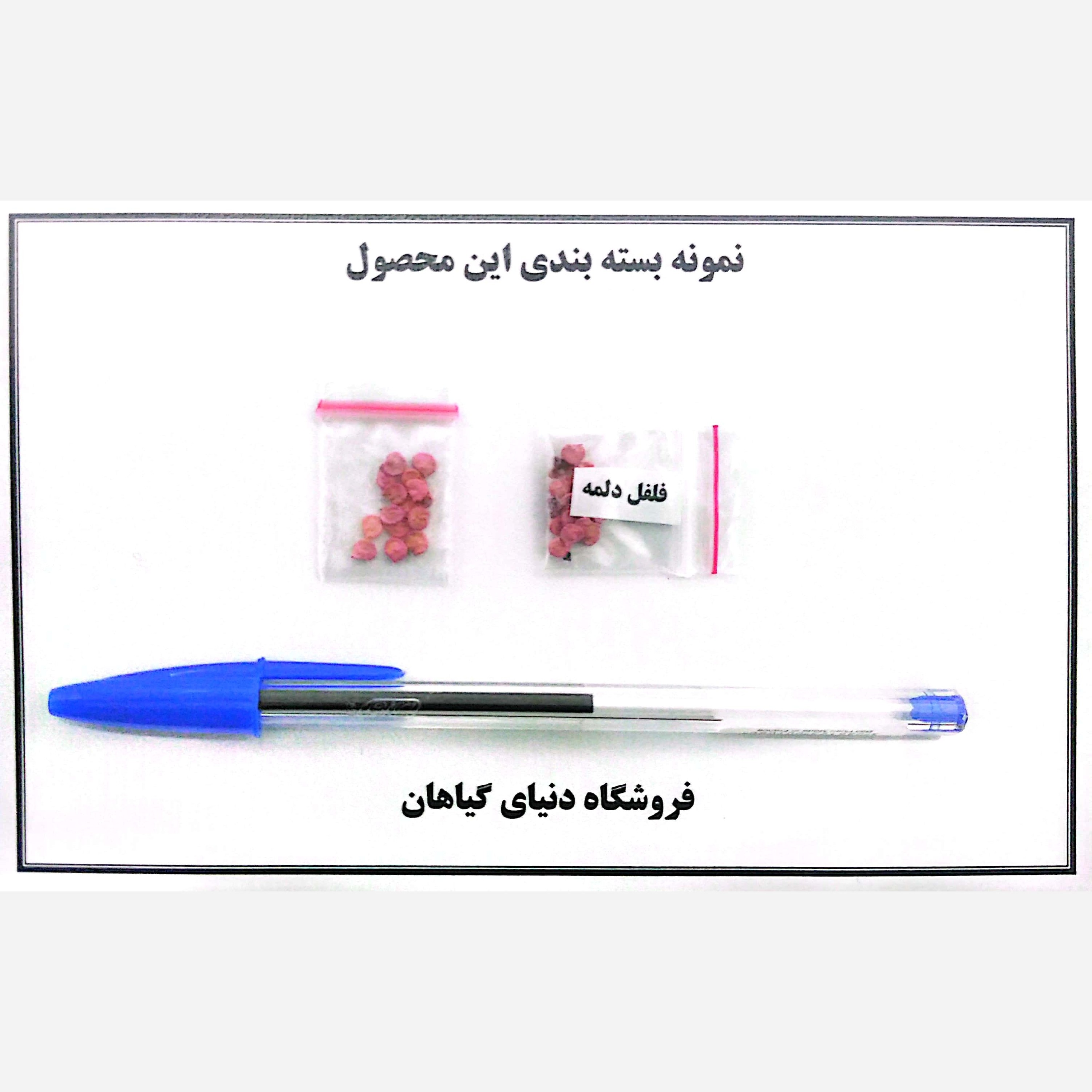 بذر فلفل دلمه سبز(10 عدد)