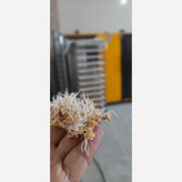 سویق کامل کودک نور (300گرم)برای افزایش وزن و اشتهای کودک