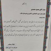 روغن زیتون تازه پرس گرم 5 لیتری با بوی کم مخصوص سرخ کردن و پختوپز مستقیم از باغدار طارم با تضمین قیمت و کیفیت