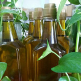 روغن زیتون تازه پرس گرم 5 لیتری با بوی کم مخصوص سرخ کردن و پختوپز مستقیم از باغدار طارم با تضمین قیمت و کیفیت