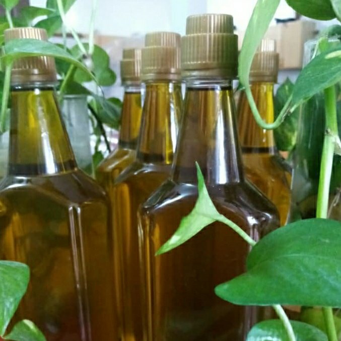 روغن زیتون تازه پرس گرم 5 لیتری با بوی کم مخصوص سرخ کردن و پختوپز مستقیم از باغدار طارم با تضمین قیمت و کیفیت
