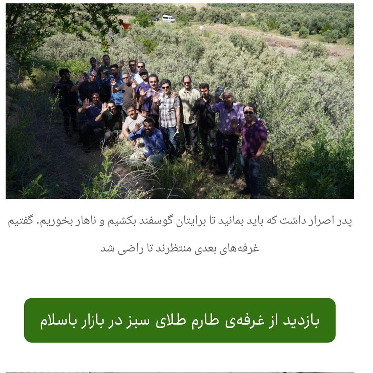 روغن زیتون تازه پرس گرم 5 لیتری با بوی کم مخصوص سرخ کردن و پختوپز مستقیم از باغدار طارم با تضمین قیمت و کیفیت
