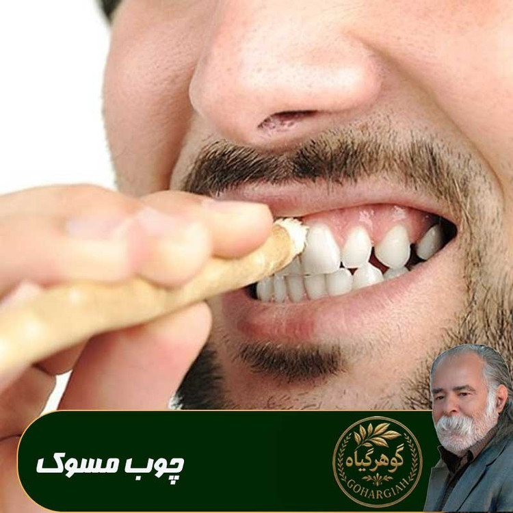چوب مسواک(چوب اراک)
