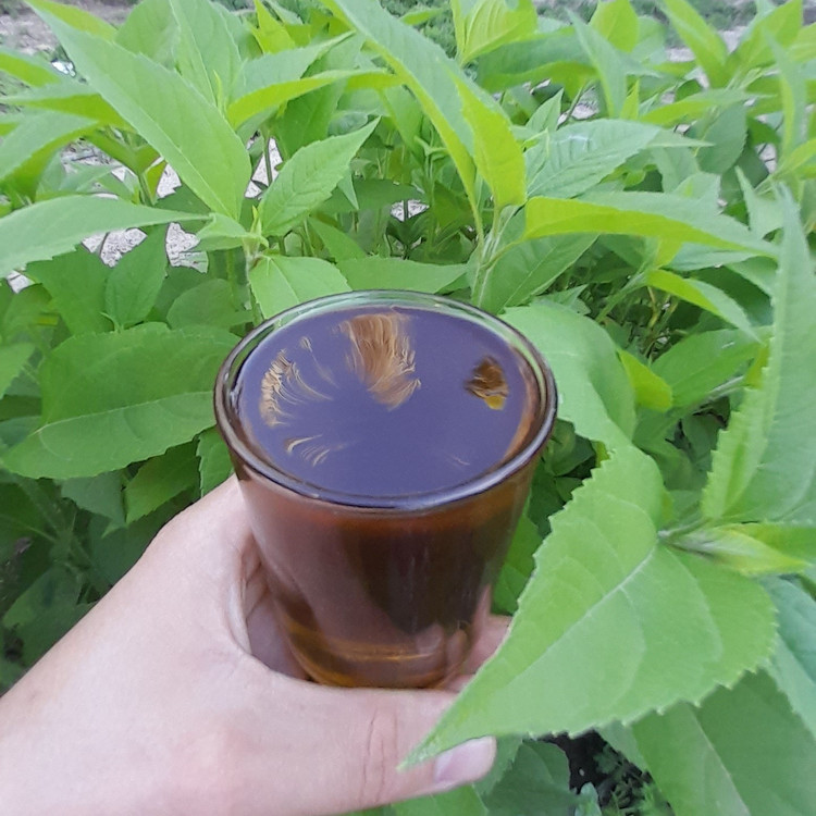روغن زیتون(2 لیتری)محلی دستی تلخ اصل درمانی فرابکربابو پرس سرد دارویی خوراکی و مالشی با تضمین کیفیت از باغدار خرید کنید