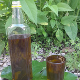 روغن زیتون(2 لیتری)محلی دستی تلخ اصل درمانی فرابکربابو پرس سرد دارویی خوراکی و مالشی با تضمین کیفیت از باغدار خرید کنید