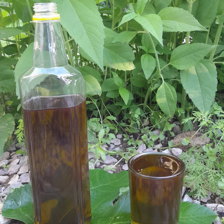 روغن زیتون(2 لیتری)محلی دستی تلخ اصل درمانی فرابکربابو پرس سرد دارویی خوراکی و مالشی با تضمین کیفیت از باغدار خرید کنید