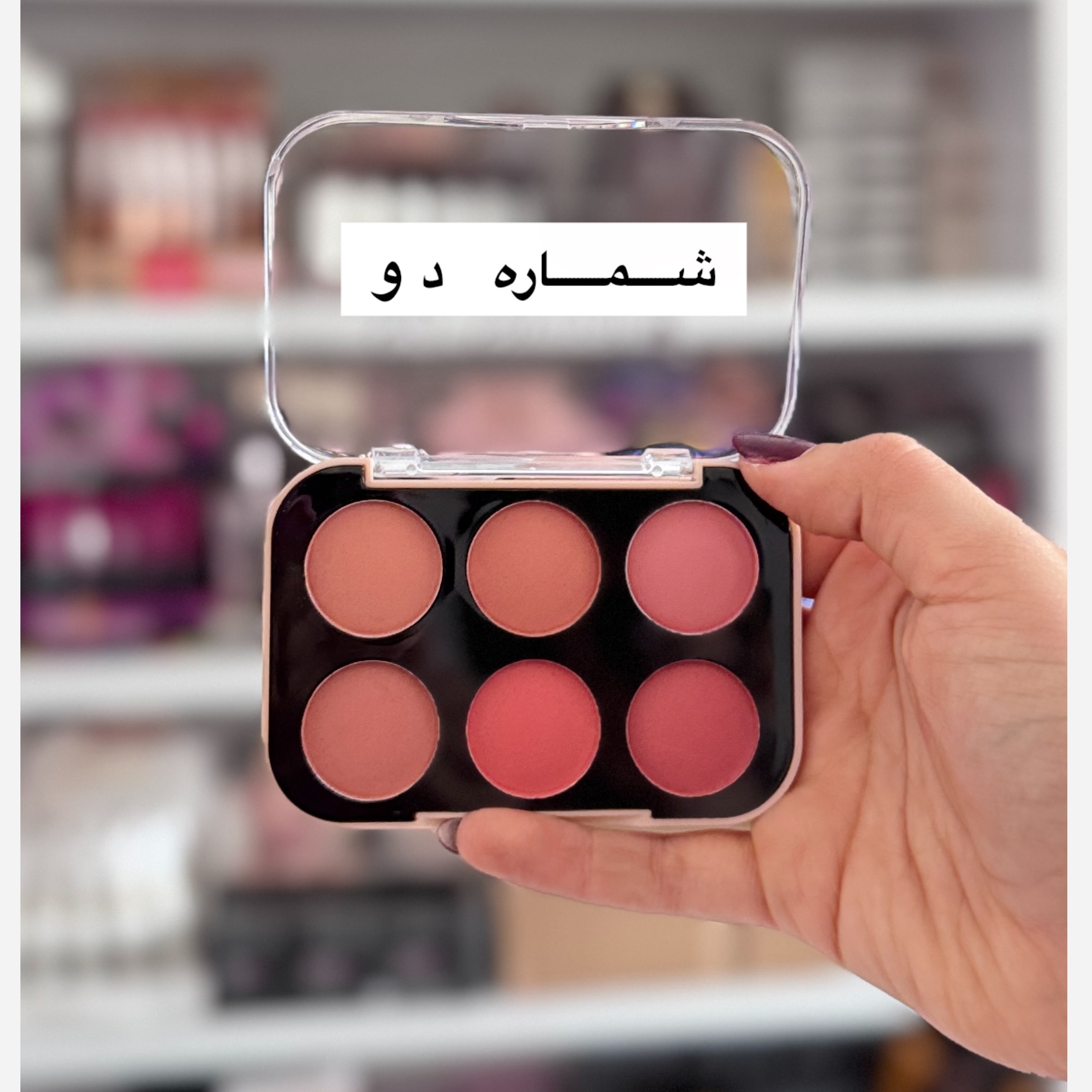 پالت رژگونه 6 رنگ ( آرایشی هوتران)