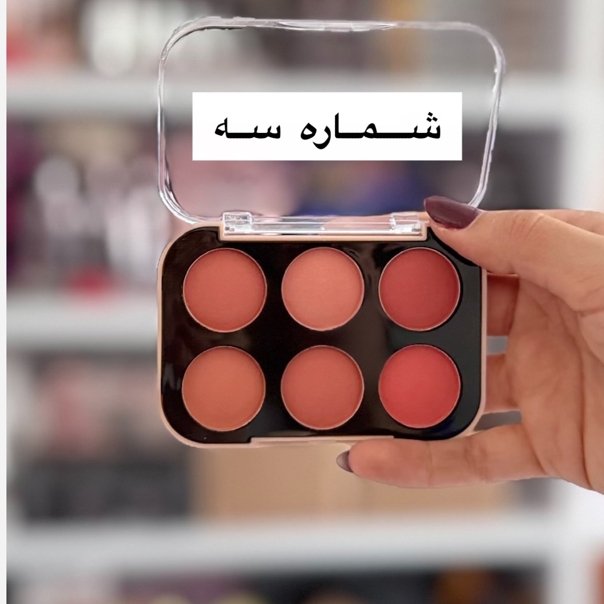 پالت رژگونه 6 رنگ ( آرایشی هوتران)