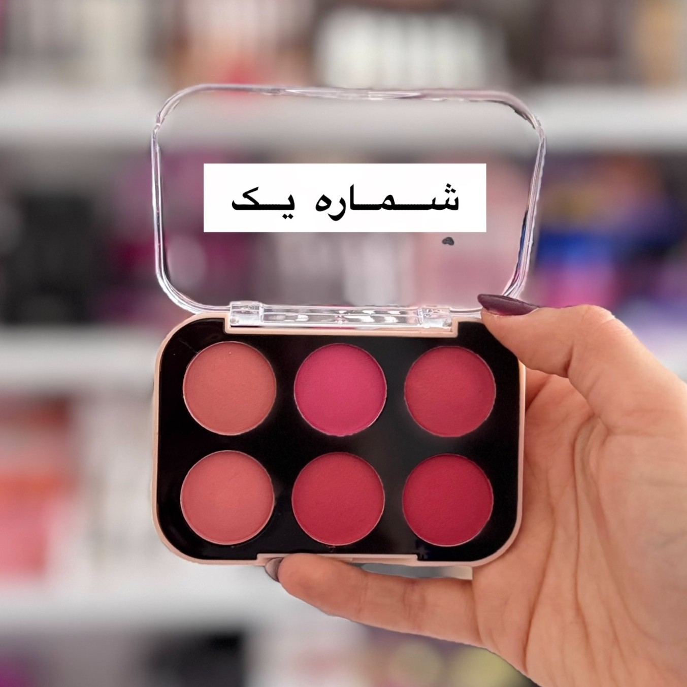 پالت رژگونه 6 رنگ ( آرایشی هوتران)