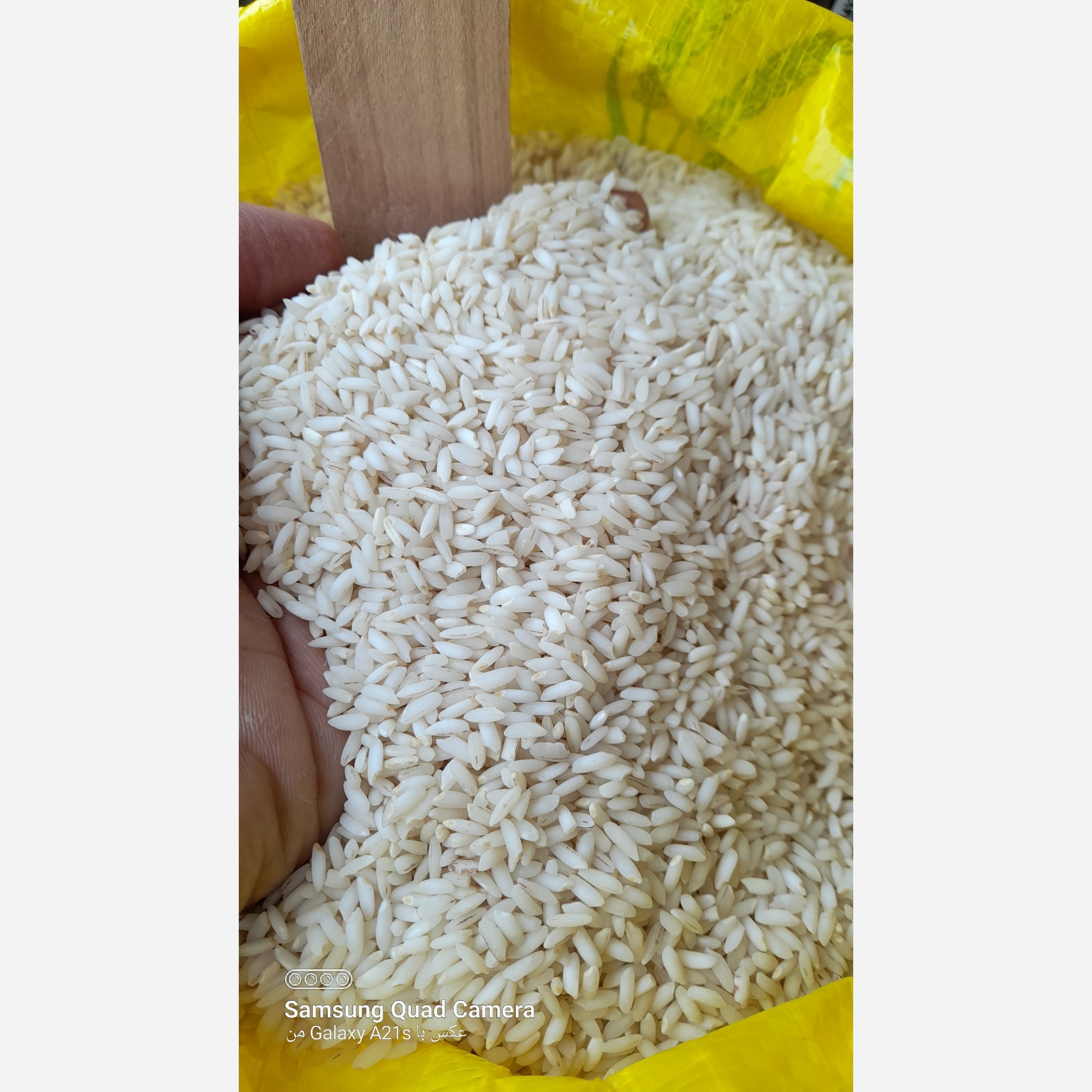 برنج عنبربو زندیه (ارسال رایگان 2 کیسه ب بالا)
