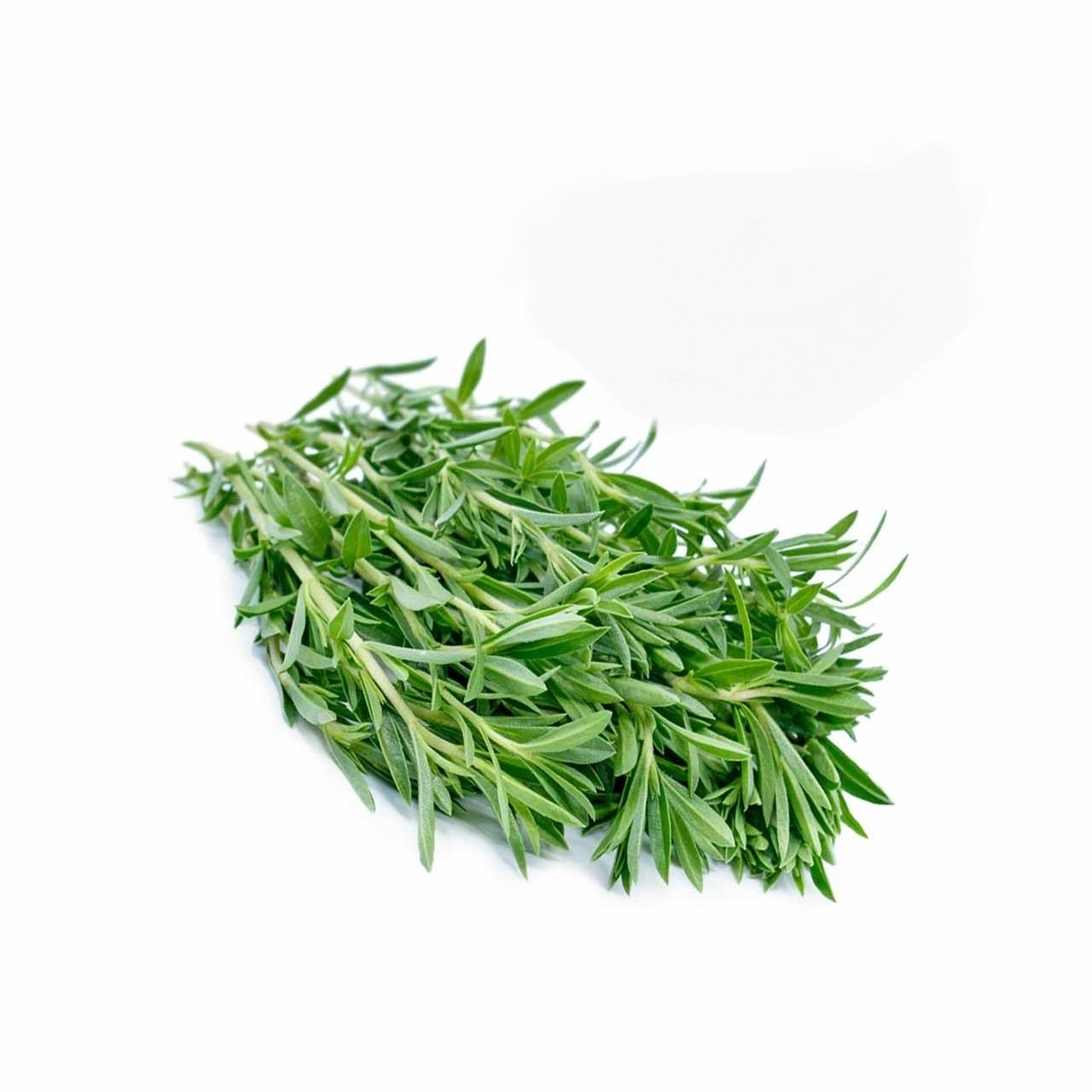 بذر سبزی مرزه (500 عدد)