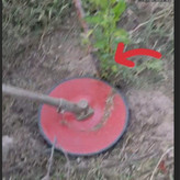الحاقیه محافظ تنه درخت برای علف تراش