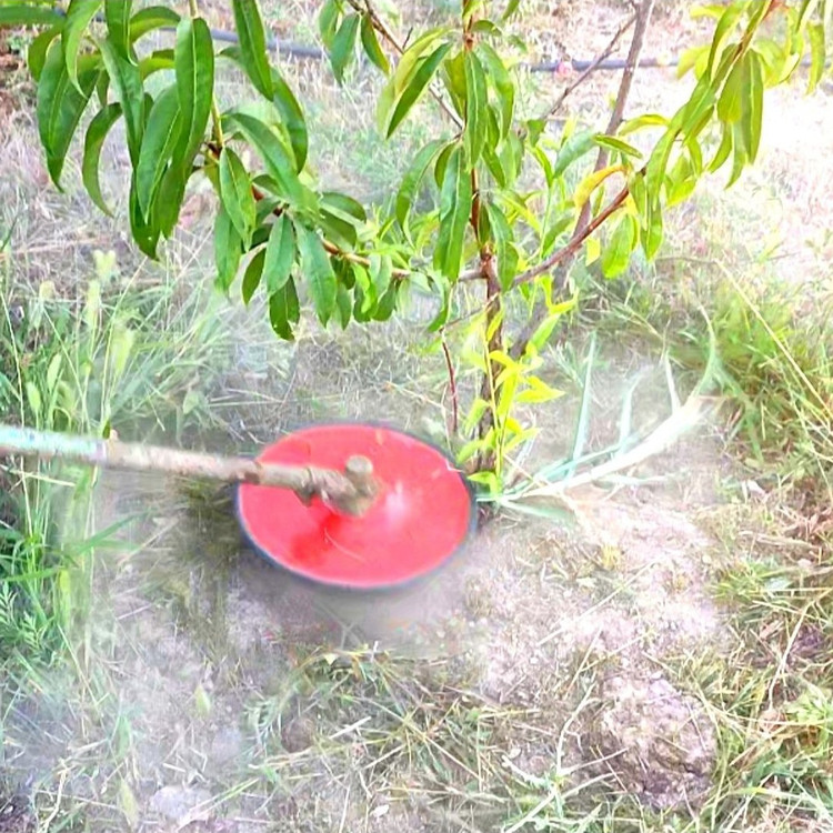 الحاقیه محافظ تنه درخت برای علف تراش